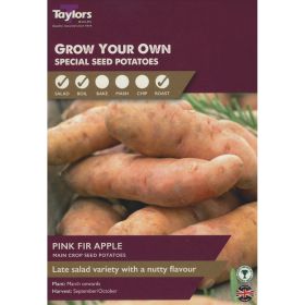 Pink Fir Apple Seed Potatoes Taster Pack of 10